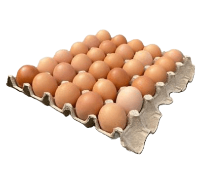 Bandeja de huevos de gallinas libres