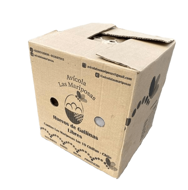 Caja de cartón reciclado con huevos